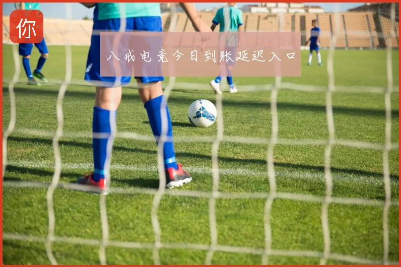 八戒电竞今日到账延迟入口